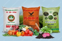 bao bì phân bón đẹp bbas