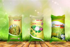 bao bì gạo 10kg đẹp