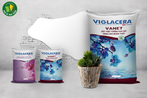 Bao bì bột trét trường nội ngoại thất của Viglacera do Bao Bì Ánh Sáng sản xuất.