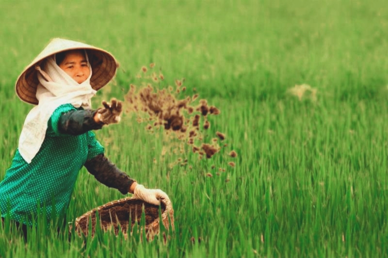 Người Việt Nam bao đời nay gắn liền với nông nghiệp