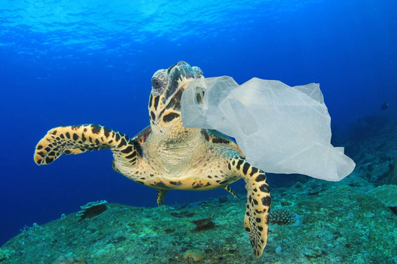 Các sản phẩm làm từ nhựa khó phân hủy trong môi trường tự nhiên (Ảnh minh họa)