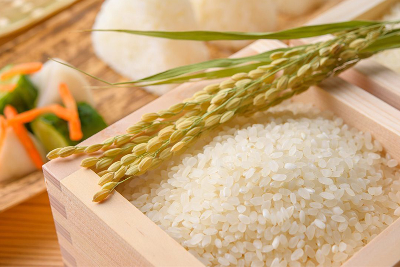 Gạo Việt vẫn chưa có thương hiệu rõ ràng - mua bao đựng lúa
