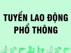 tuyển lao động phổ thông tại thủ đức