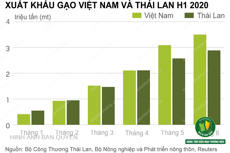 tình hình xuất khẩu gạo Việt Nam và Thái Lan