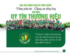 tuyển dụng bao bì ánh sáng tháng 5 -2021