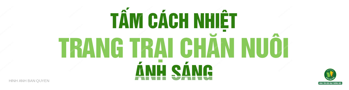 Tam Cach Nhiet Trang Trai Chan Nuoi Anh Sang 1