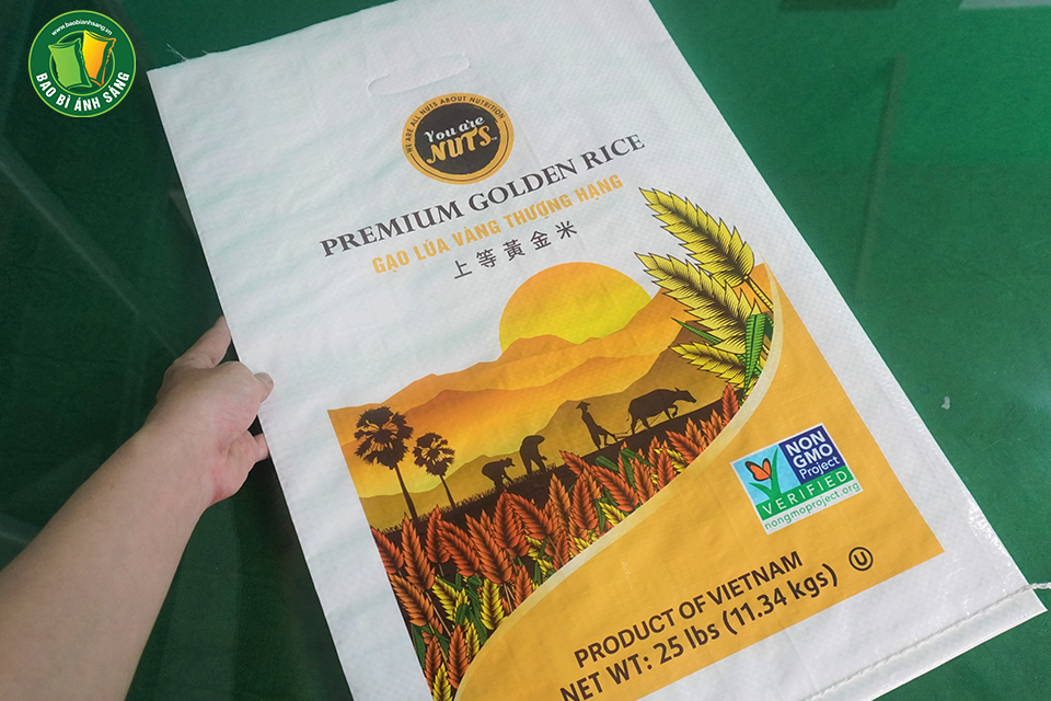 thanh-pham-bao-gao-4