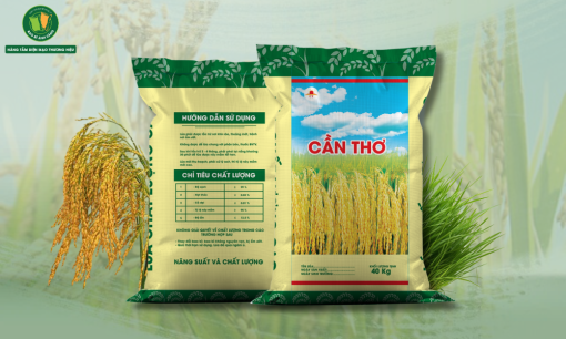 Bao Bì Hạt Giống Ánh Sáng | Nâng Tầm Diện Mạo Thương Hiệu
