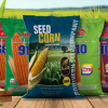 Chua co ten 1000 x 600 px 1 1 Bao Bì Ánh Sáng - Chuyên Gia Bao Bì PP Dệt