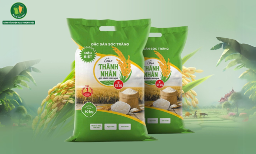 Bao Đựng Gạo 25kg Ánh Sáng | Nâng Tầm Diện Mạo Thương Hiệu