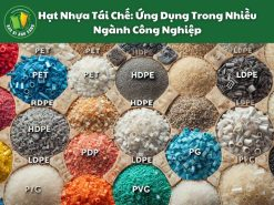 Khám Phá HS Code Hạt Nhựa Nguyên Sinh (11)