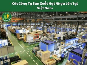 Các Công Ty Sản Xuất Hạt Nhựa Lớn Tại Việt Nam