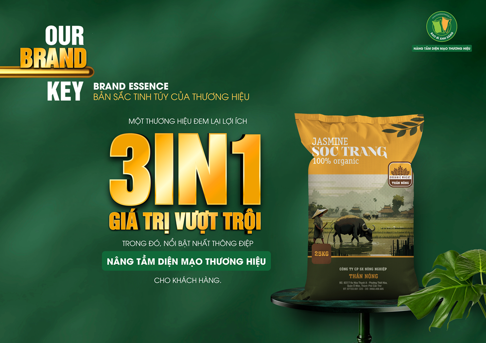 Thành công của doanh nghiệp hầu như phụ thuộc vào chiến lược thương hiệu thu hút khách hàng, mà bao bì chính là nơi thể hiện rõ nhất.