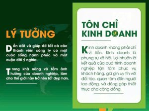 xay dung moi truong lam viec 5