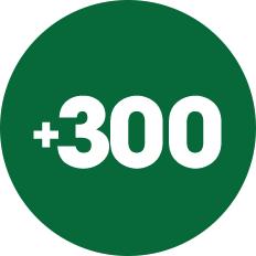 300