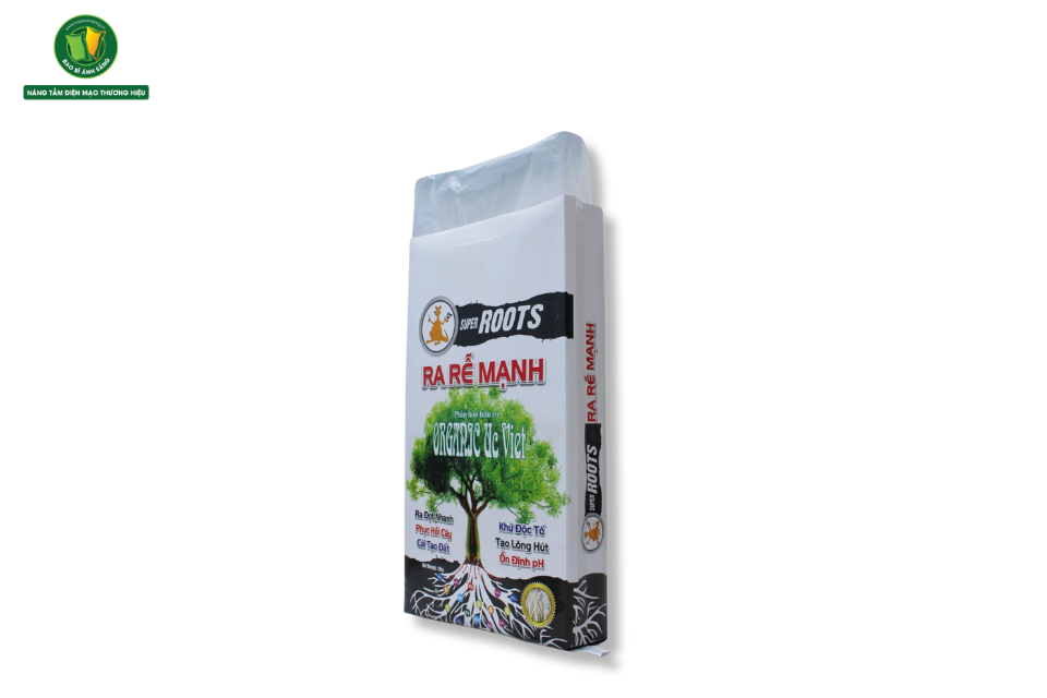 5 10 Bao Bì Ánh Sáng - Chuyên Gia Bao Bì PP Dệt