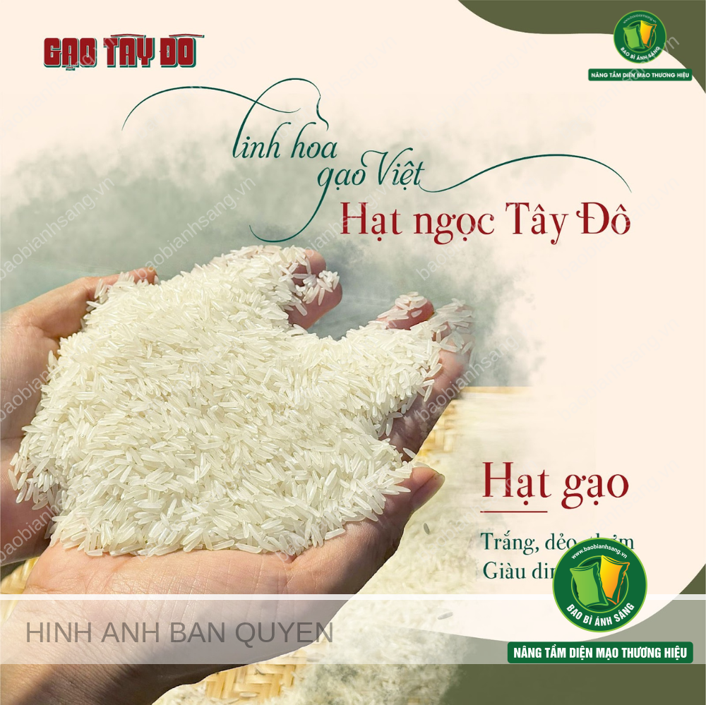 Bản sắc thương hiệu của gạo Tây Đô gắn liền với giá trị truyền thống, sự ấm cúng và tinh hoa của gia đình Việt