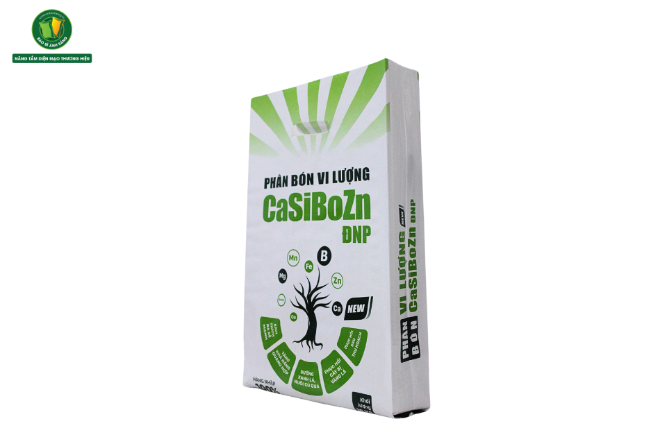 4 2 Bao Bì Ánh Sáng - Chuyên Gia Bao Bì PP Dệt