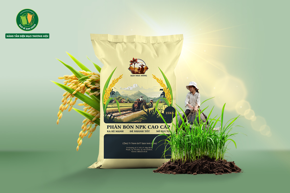 Mỗi thiết kế bao bì của khách hàng đều được Bao Bì Ánh Sáng chăm chút tỉ mỉ