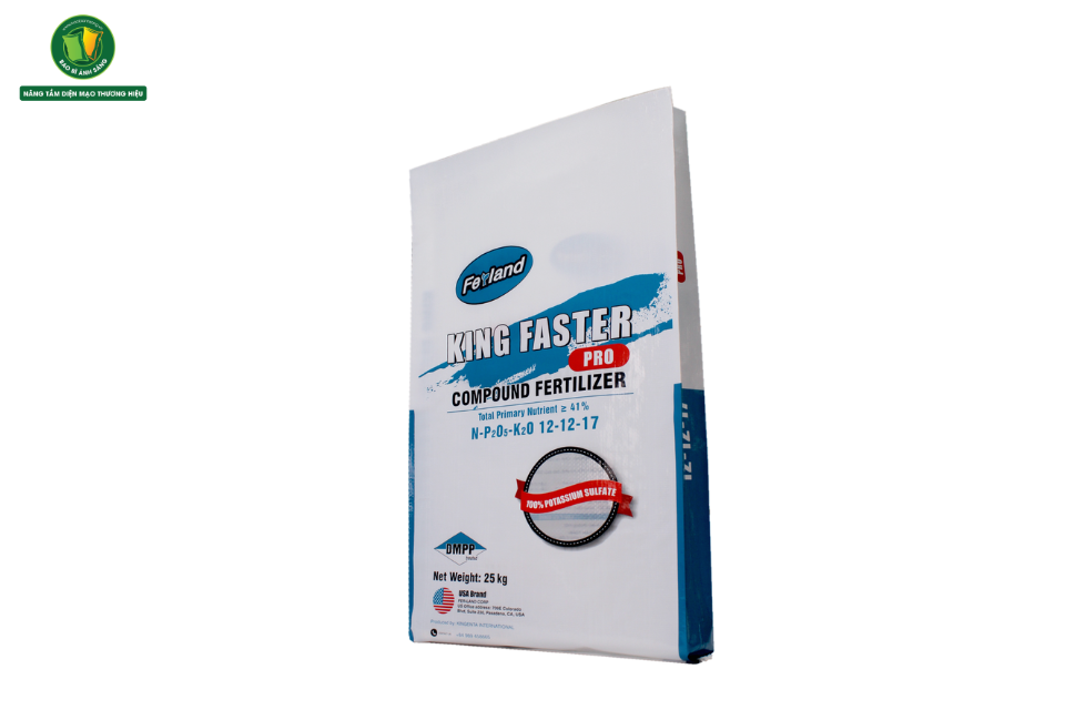 king faster Bao Bì Ánh Sáng - Chuyên Gia Bao Bì PP Dệt