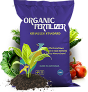 Bao bì đựng tiền