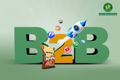 Chiến lược Marketing B2B: Từ Tương Tác Đến Hành Vi Mua Hàng – Ứng Dụng Thực Tiễn Của Bao Bì Ánh Sáng 1