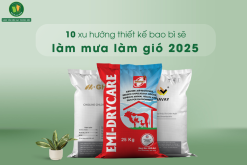 10-xu-huong-thiet-ke-bao-bi-lam-mua-lam-gio-2025