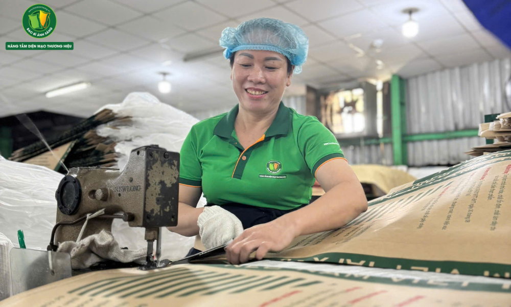 9 Bao Bì Ánh Sáng - Chuyên Gia Bao Bì PP Dệt
