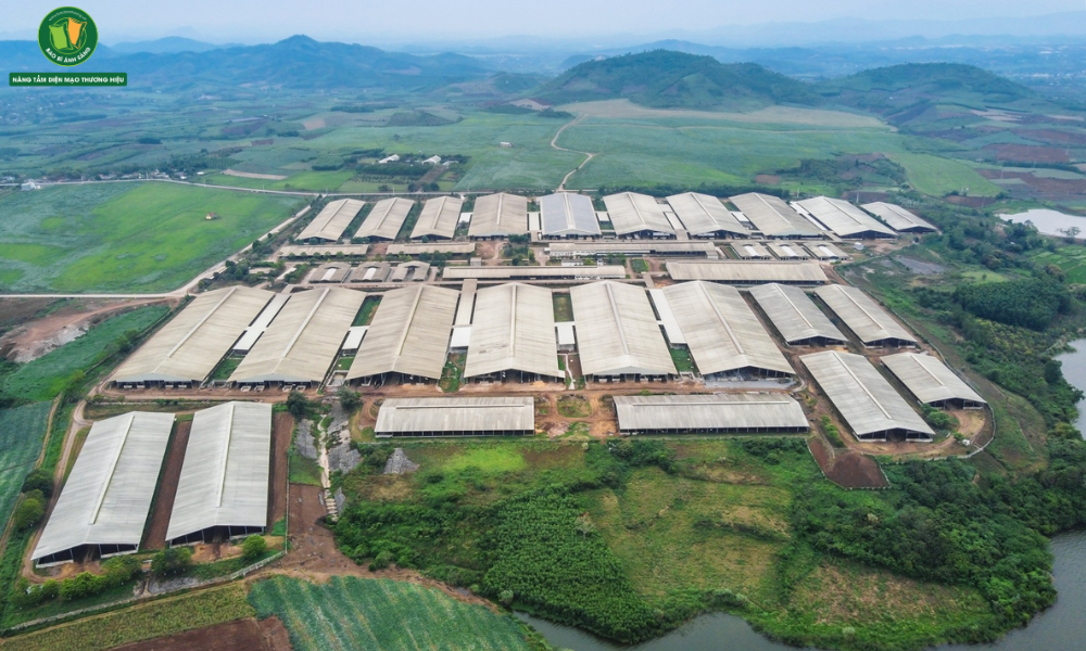 TH True Milk đã truyền tải key attribute “sữa tươi sạch” thông qua brand story đầy nhân văn