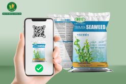 thiet-ke-bao-bi-anh-huong-nhu-the-nao-den-nhan-dien-thuong-hieu