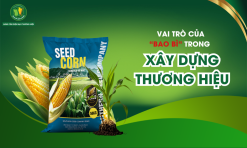 vai-tro-cua-bao-bi-trong-dinh-vi-thuong-hieu