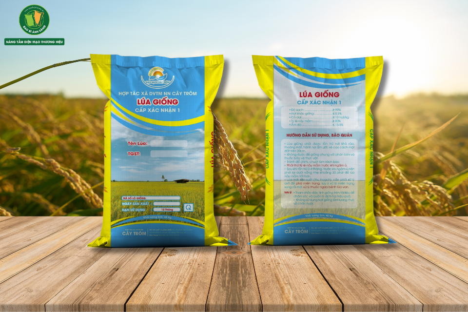 Chua co ten 1000 x 600 px 22 Bao Bì Ánh Sáng - Chuyên Gia Bao Bì PP Dệt