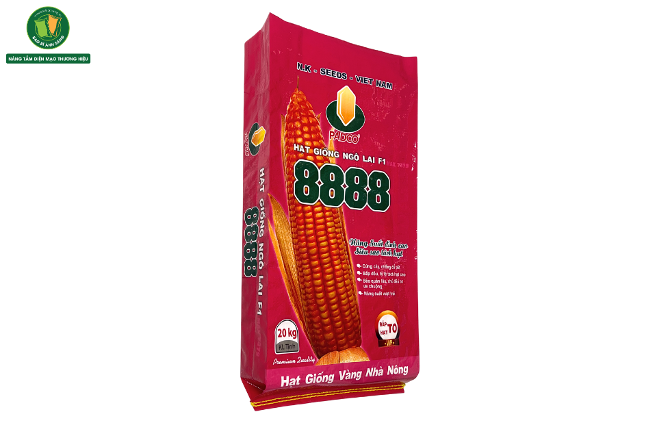 Chua co ten 1000 x 600 px 4 Bao Bì Ánh Sáng - Chuyên Gia Bao Bì PP Dệt