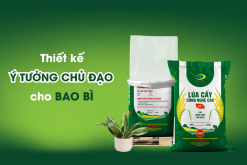 thiet-ke-y-tuong-chu-dao-cho-bao-bi (6)