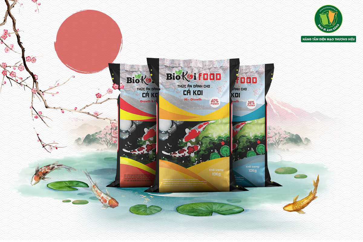 1 4 Bao Bì Ánh Sáng - Chuyên Gia Bao Bì PP Dệt