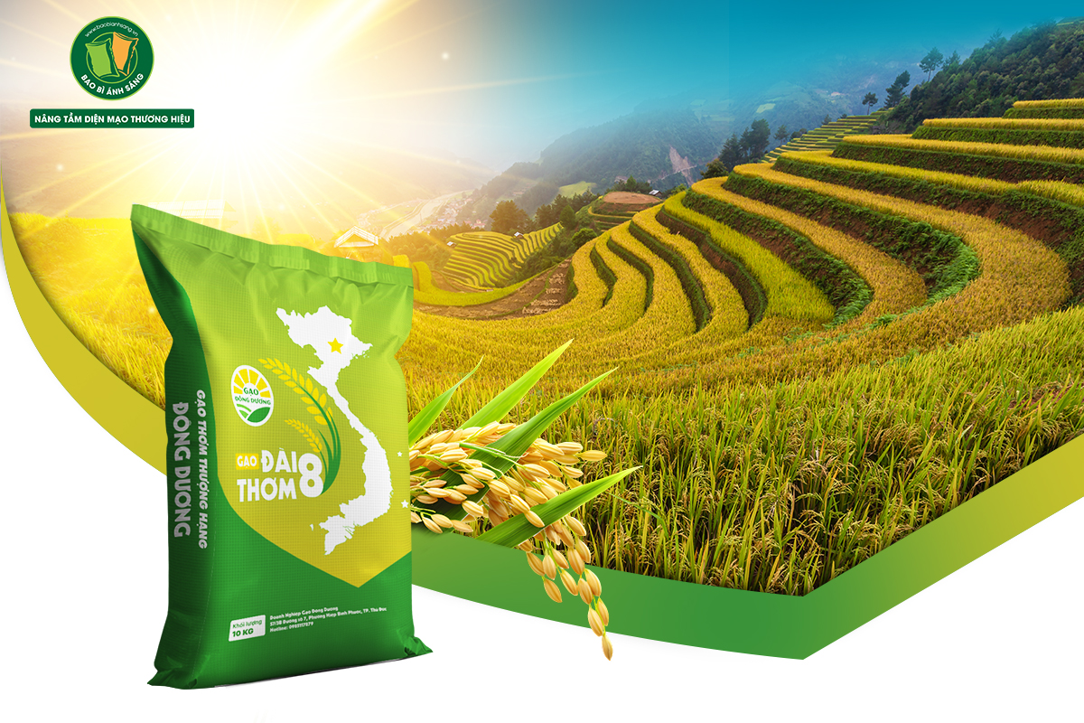 2 3 Bao Bì Ánh Sáng - Chuyên Gia Bao Bì PP Dệt