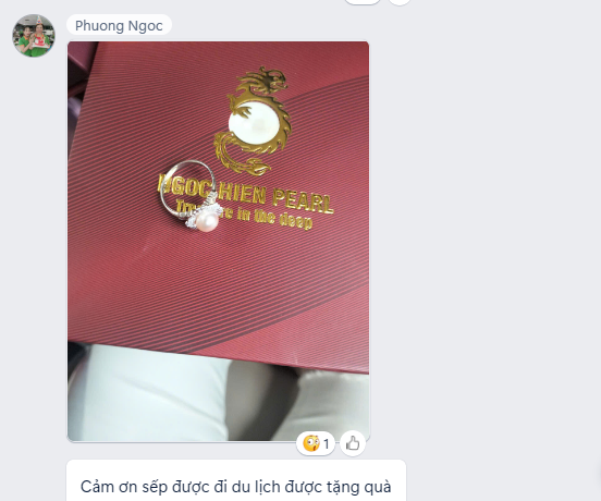 2805 5 Bao Bì Ánh Sáng - Chuyên Gia Bao Bì PP Dệt