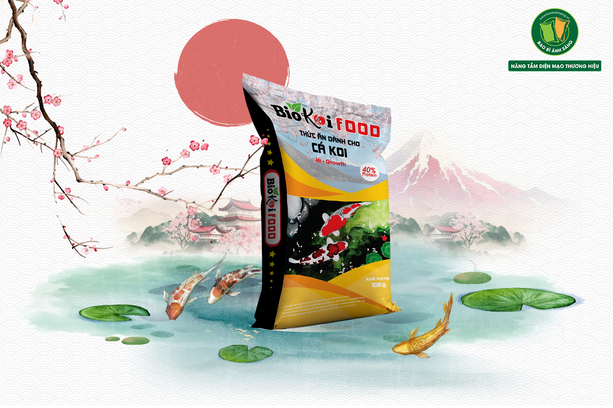 3 1 1 Bao Bì Ánh Sáng - Chuyên Gia Bao Bì PP Dệt