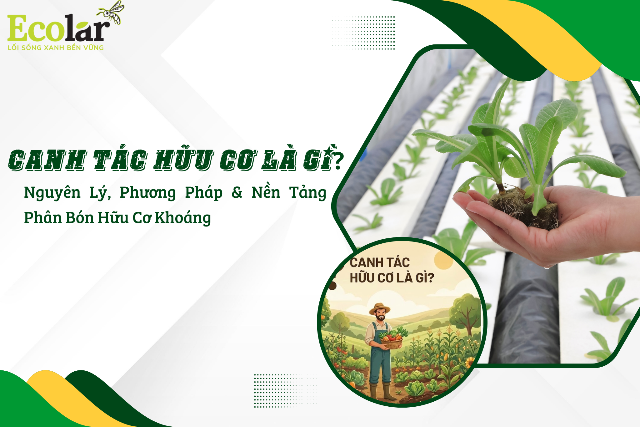 1234ne Bao Bì Ánh Sáng - Chuyên Gia Bao Bì PP Dệt