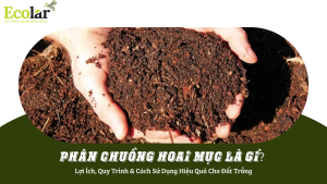 Green Modern Agriculture Presentation Bao Bì Ánh Sáng - Chuyên Gia Bao Bì PP Dệt