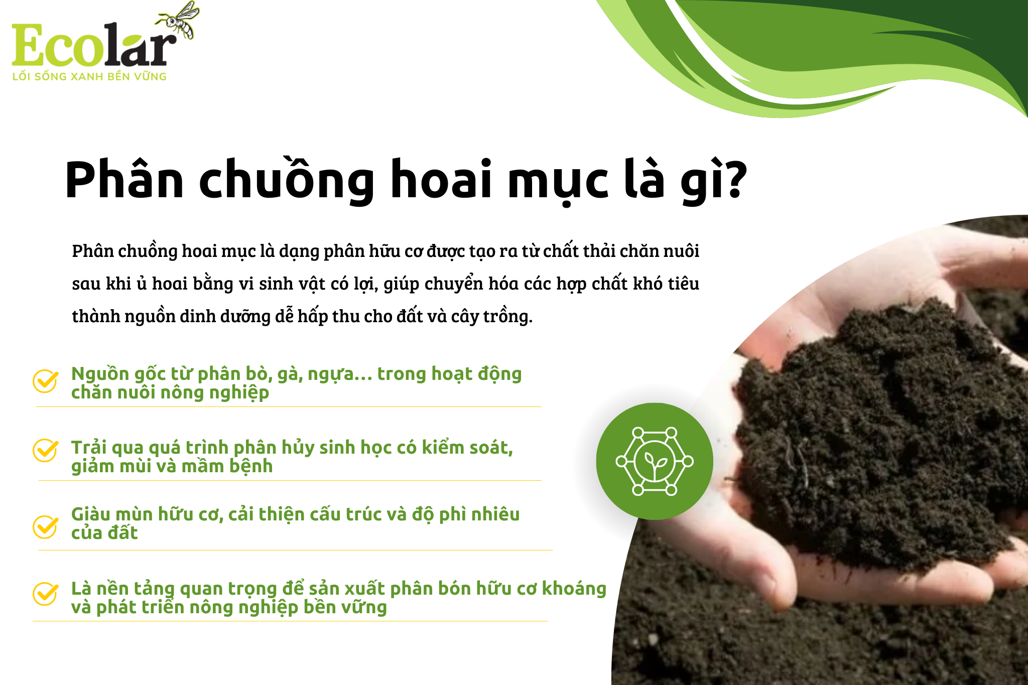 Green and White Modern Agriculture Presentation 2048 x 1365 Bao Bì Ánh Sáng - Chuyên Gia Bao Bì PP Dệt
