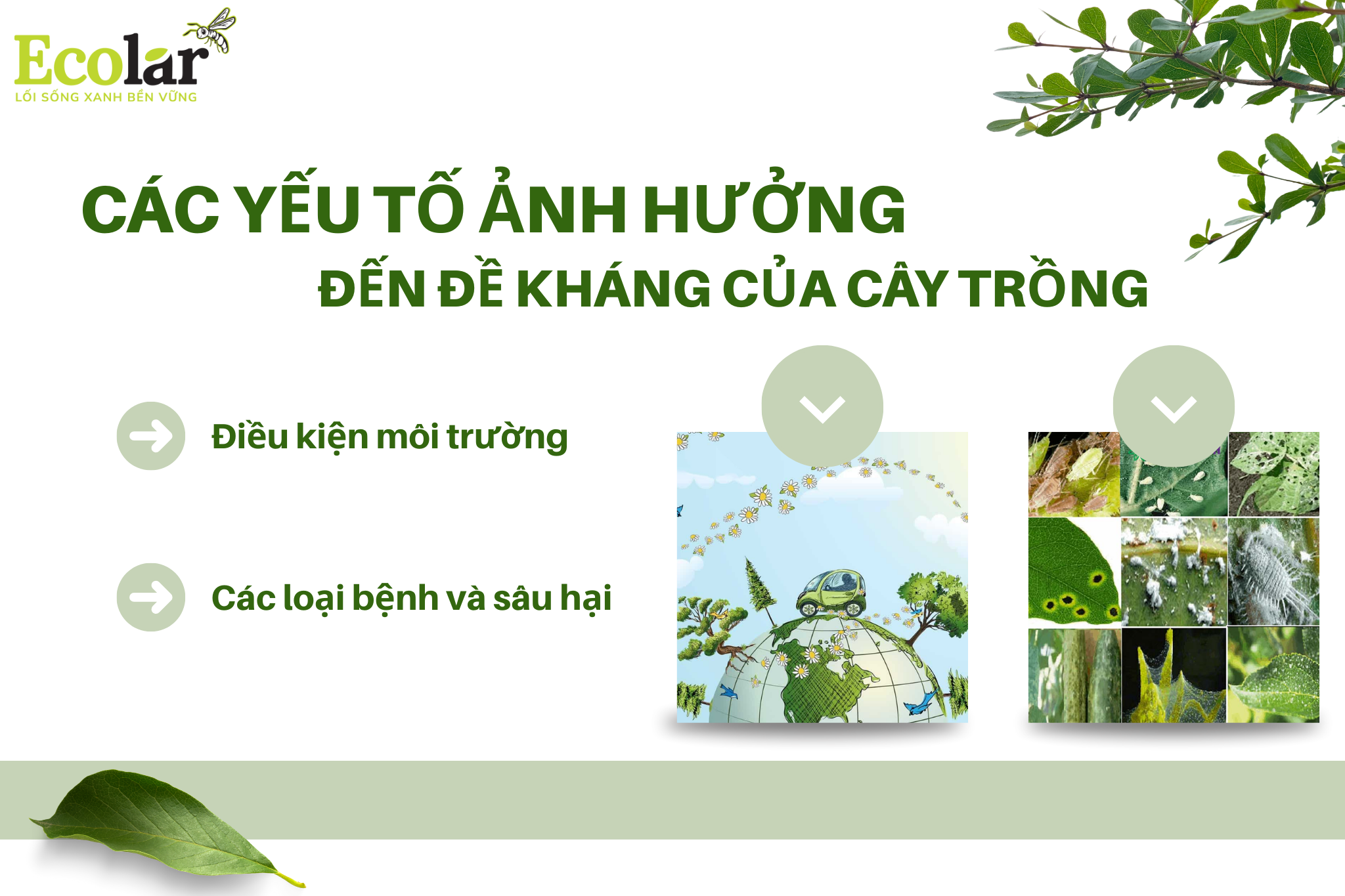 cac yeu to anh huong Bao Bì Ánh Sáng - Chuyên Gia Bao Bì PP Dệt