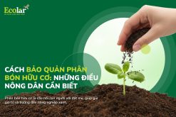 Cách Bảo Quản Phân Bón Hữu Cơ