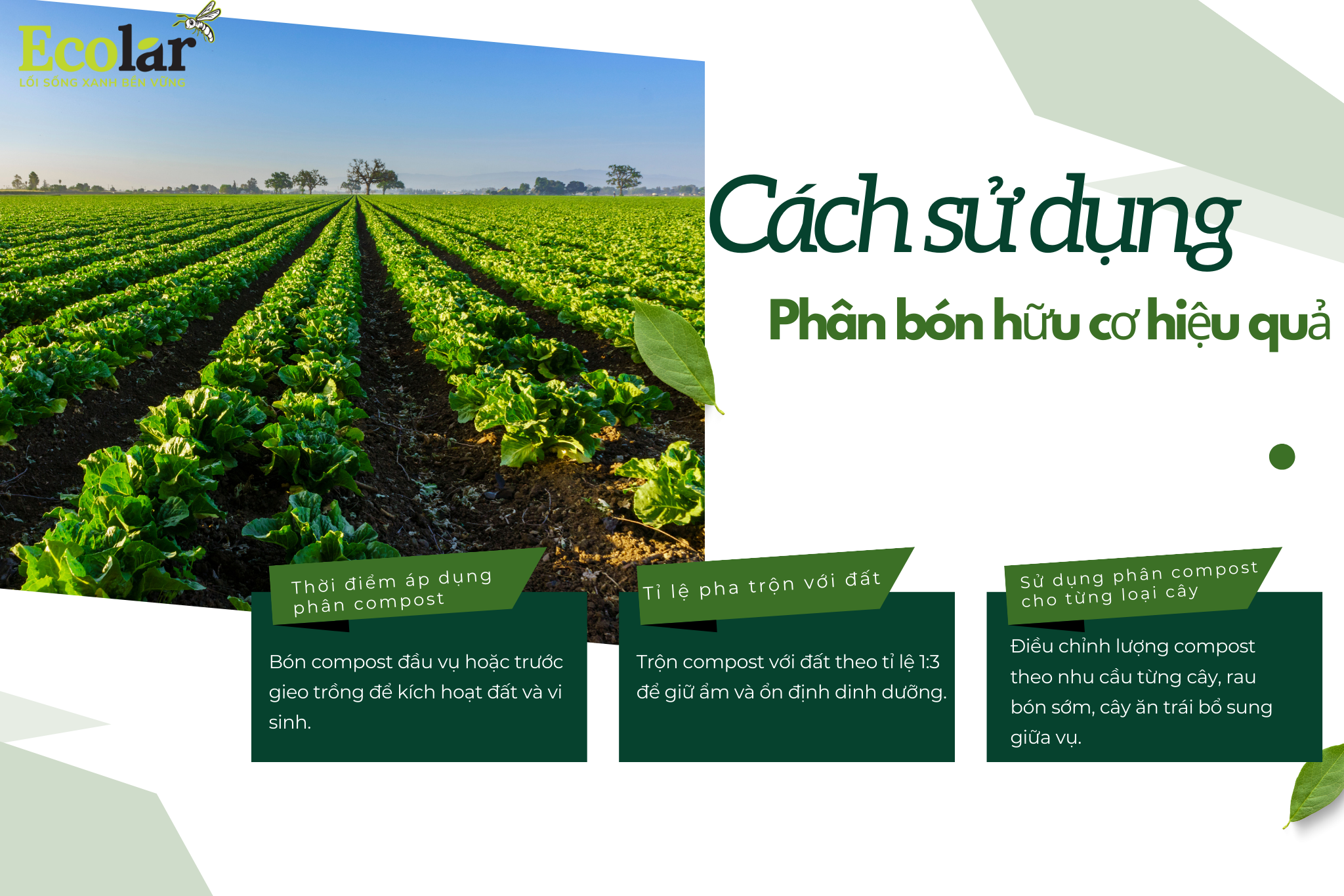 cach sd pbhc Bao Bì Ánh Sáng - Chuyên Gia Bao Bì PP Dệt