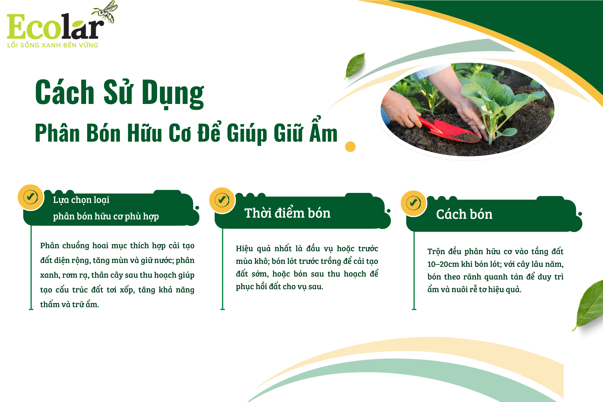 cach su dung pbhc Bao Bì Ánh Sáng - Chuyên Gia Bao Bì PP Dệt
