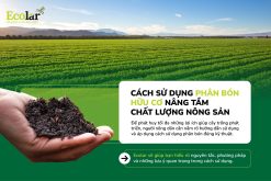 Cách Sử Dụng Phân Bón Hữu Cơ Nâng Tầm Chất Lượng Nông Sản