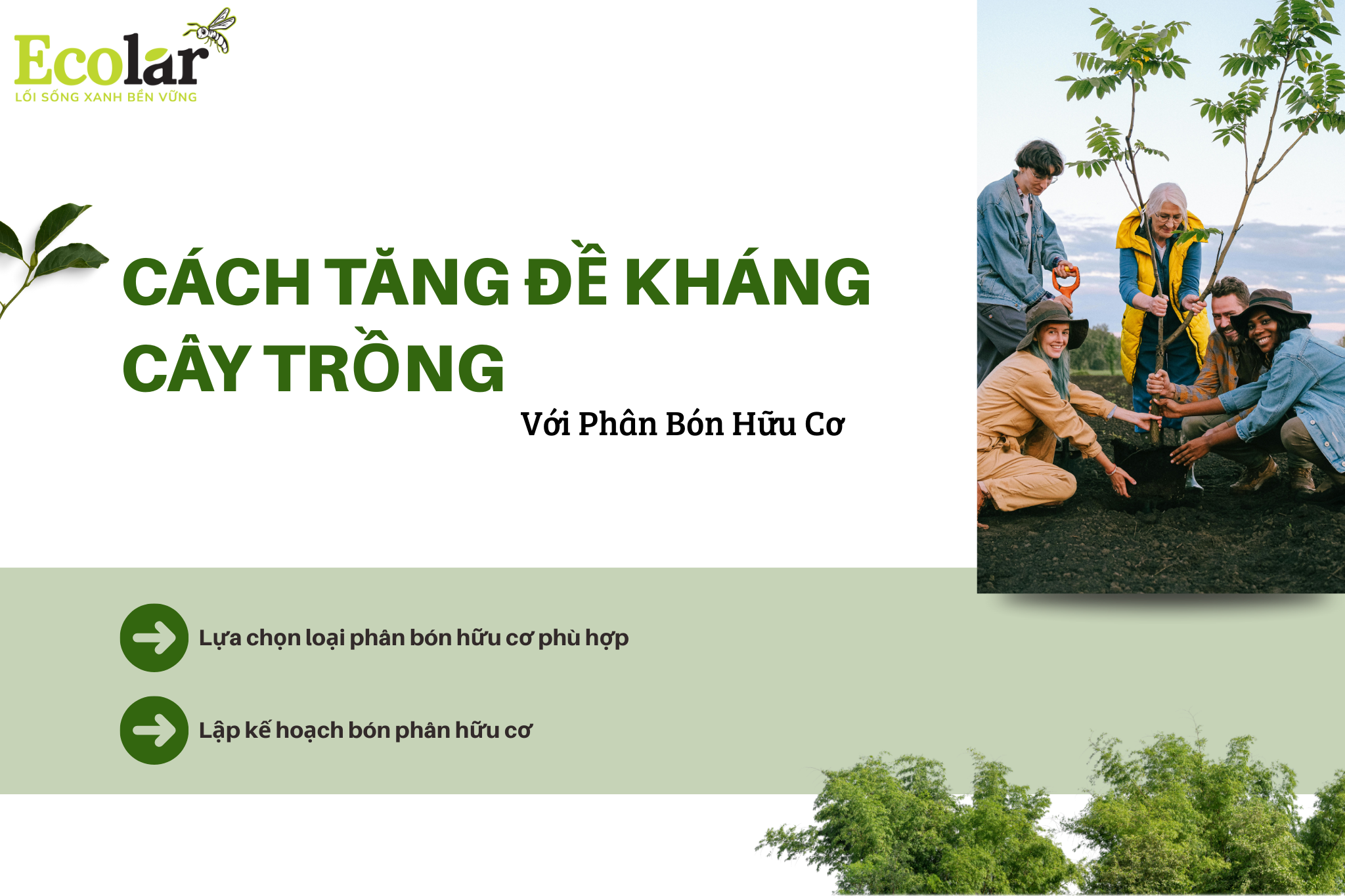 cach tang de khang cay trong Bao Bì Ánh Sáng - Chuyên Gia Bao Bì PP Dệt