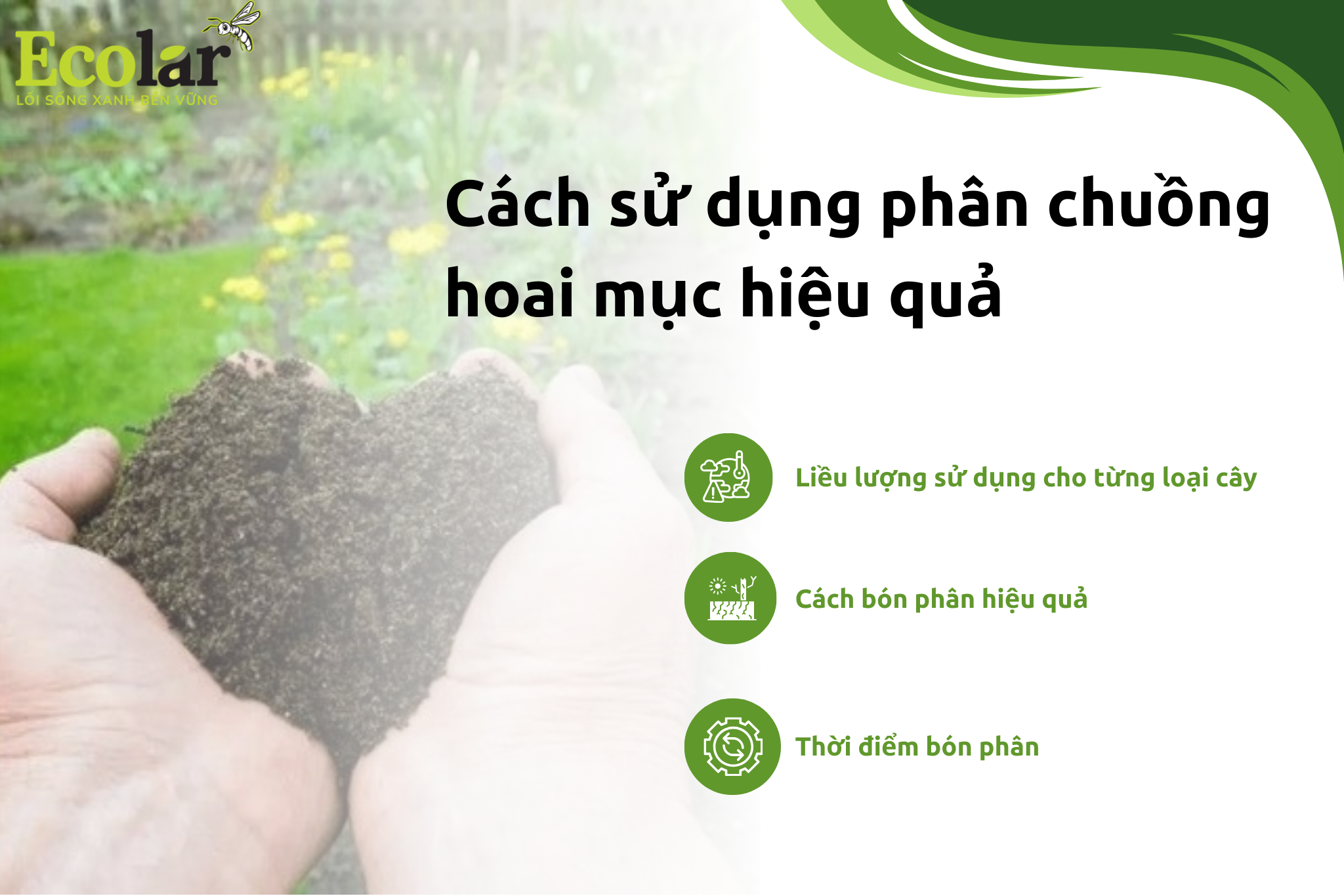 cachsd Bao Bì Ánh Sáng - Chuyên Gia Bao Bì PP Dệt