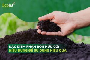 Đặc Điểm Phân Bón Hữu Cơ: Hiểu Đúng Để Sử Dụng Hiệu Quả