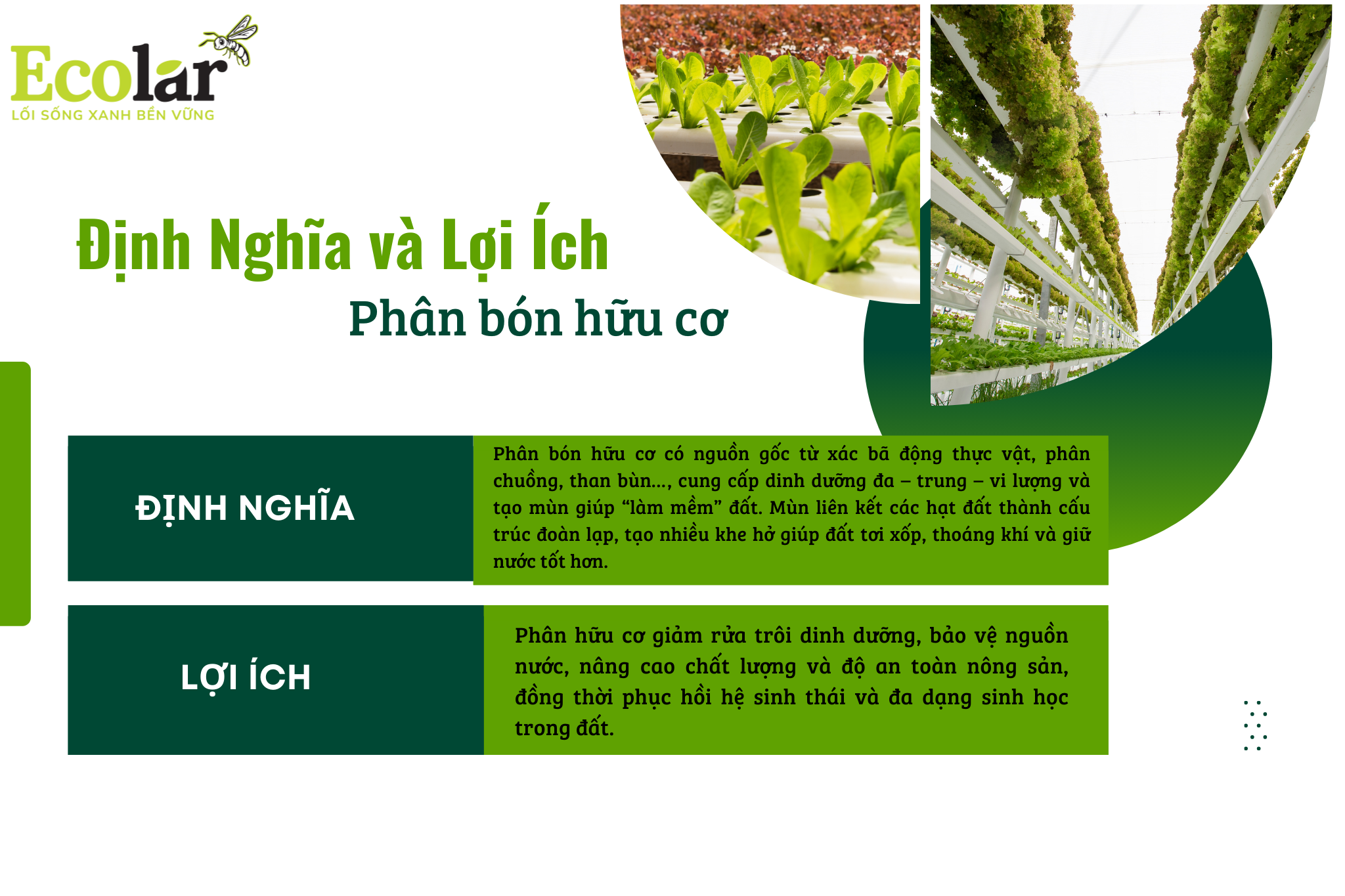 dinh nghia va loi ich pbhc Bao Bì Ánh Sáng - Chuyên Gia Bao Bì PP Dệt